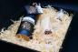 Preview: Waldbrand Holzbox "Single Malt"